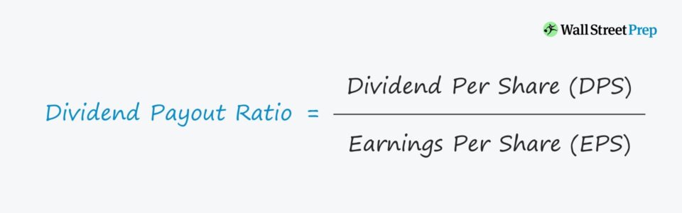 Dividend Payout Ratio