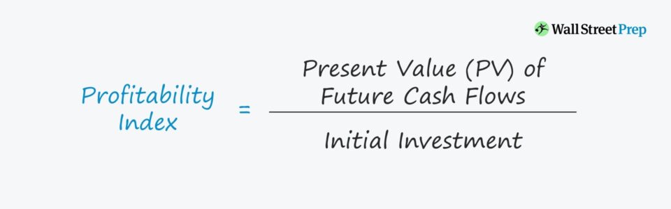 Profitability Index (PI)