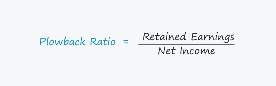 Plowback Ratio